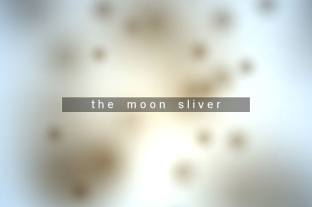 The Moon Sliver Review